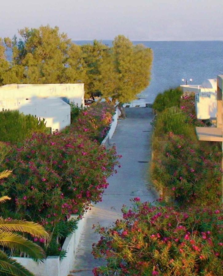Located By The Sea One Beachfront Private Captain Lazaros Pool Villa With Loft In 750Sqm Spacious Private Plot-Jacuzzi-Sunrelax-Furnished Terace-Gazebo-Private Parking,Sleep 3 Adults And 2 Children, Just Steps From The Black Beach-Seaview Períssa Eksteriør bilde